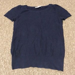 Ann Taylor LOFT Navy Sweater